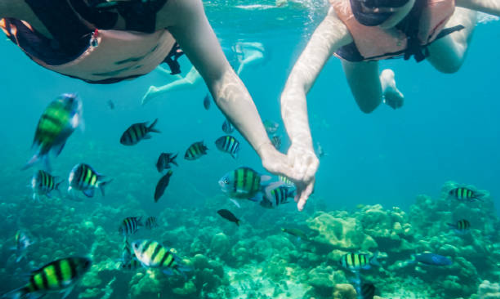 Andaman Nicobar